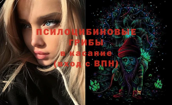 соль курить ск Медвежьегорск
