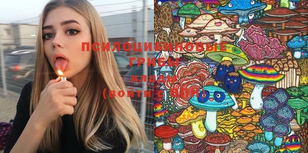 винт Мегион