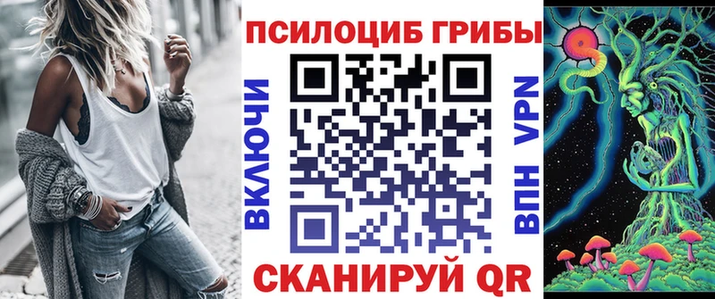 Купить где  Ступино  Галлюциногенные грибы Cubensis 